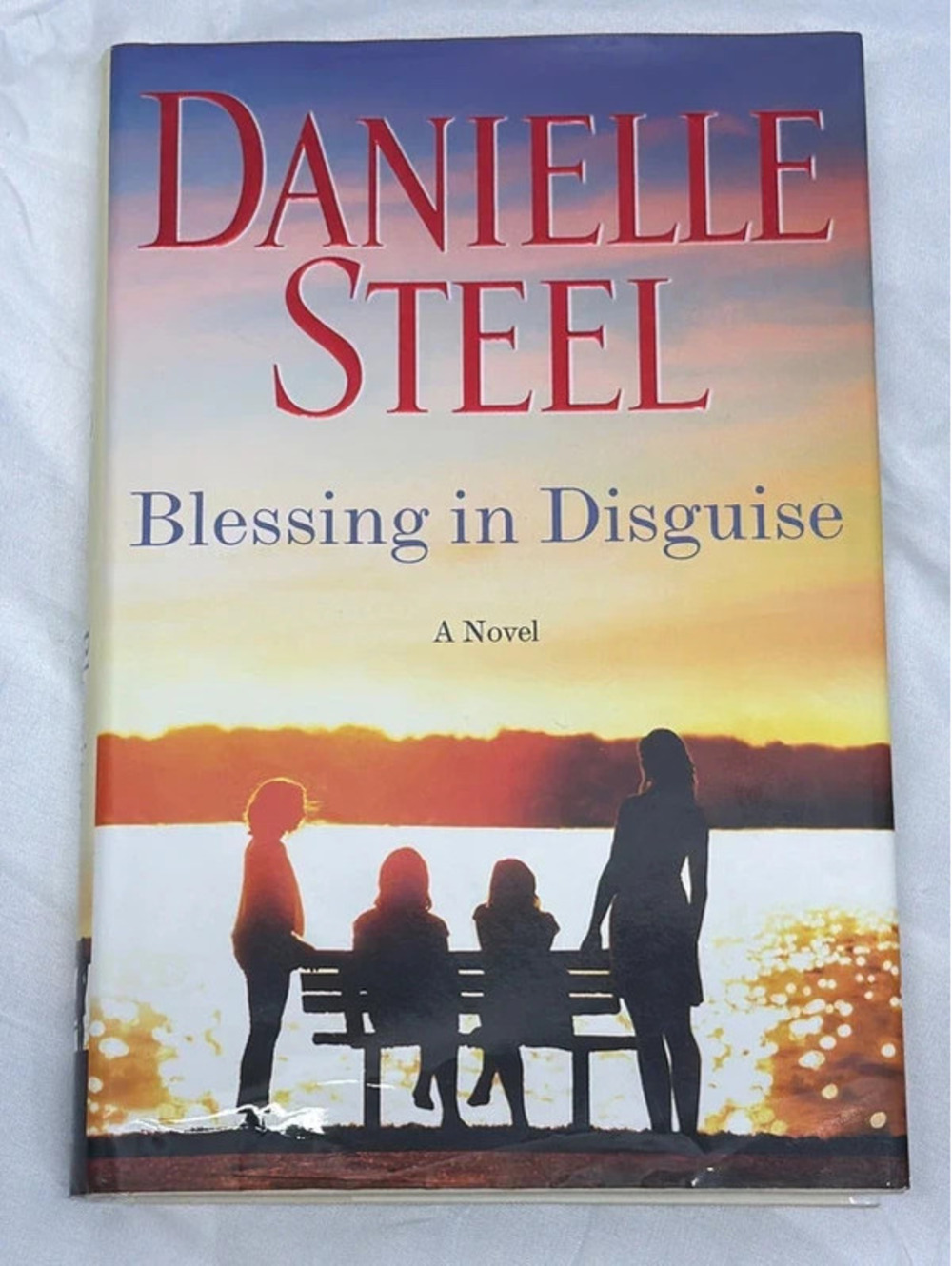 Danielle Steel Blessing in Disguise